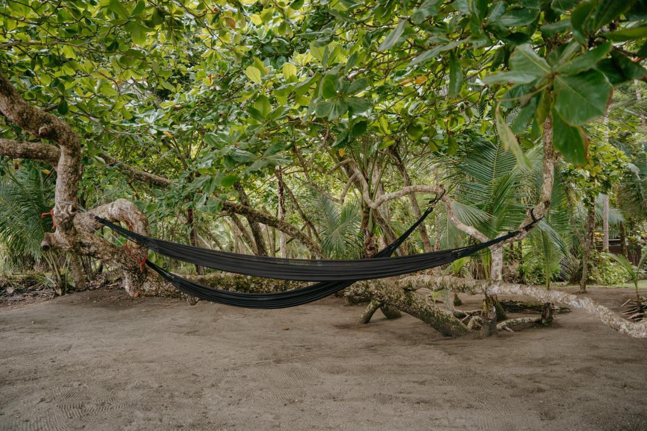Dreamy Contentment Matapalo  Exterior photo